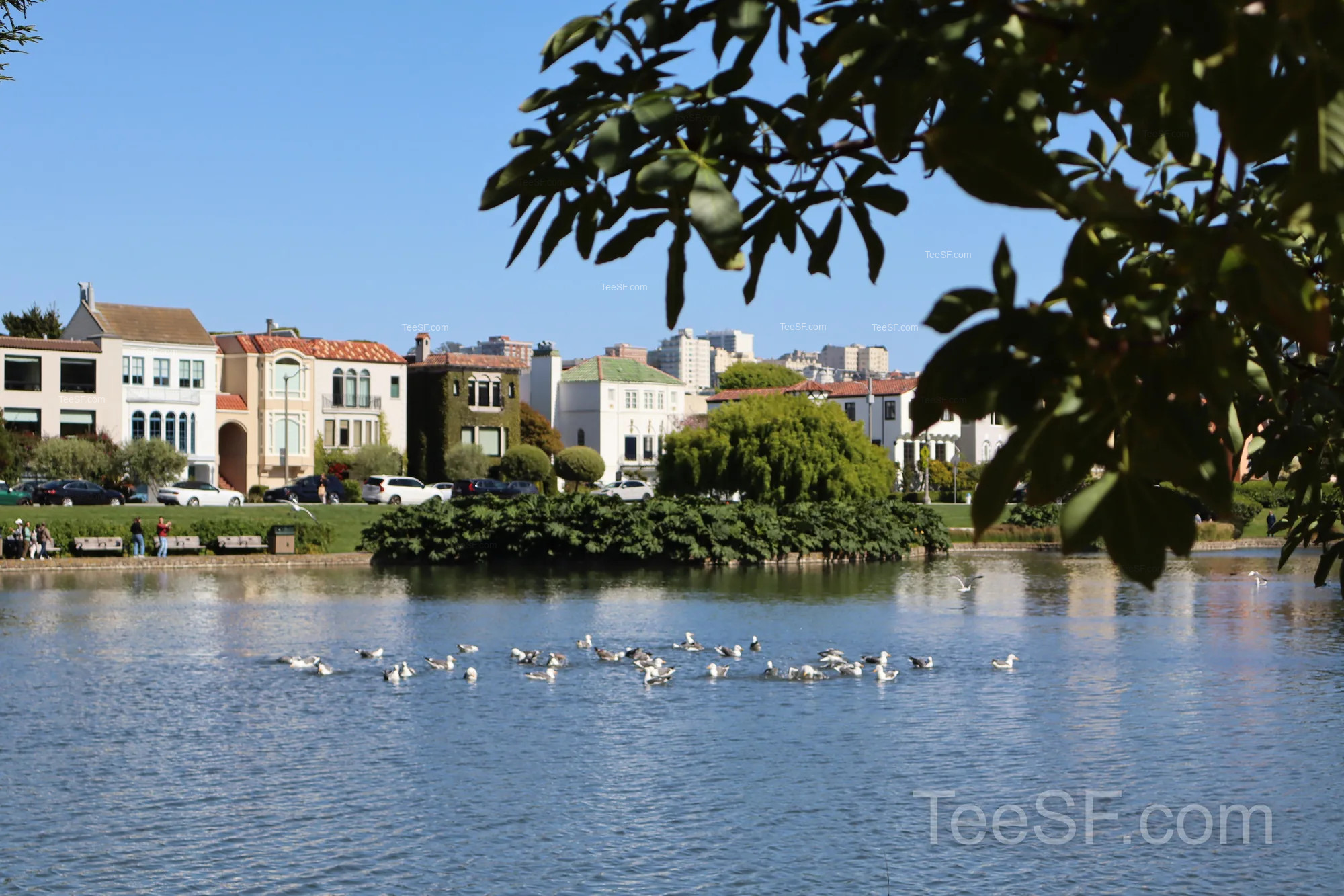 palace Lagoon And Flowers during a Stripe Sessions 2026 visit in San Francisco.